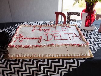 DELTA Celebrates 15 Years