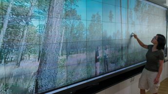 Fire Ecology Virtual Reality show on Visualization Wall in Hunt Library