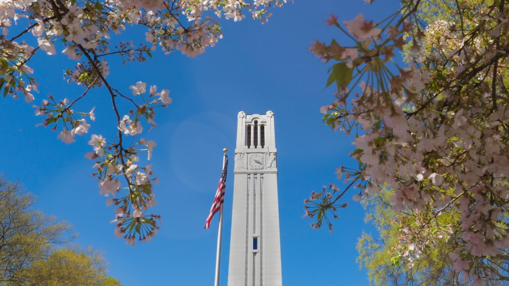 The belltower stands among spring flowers.