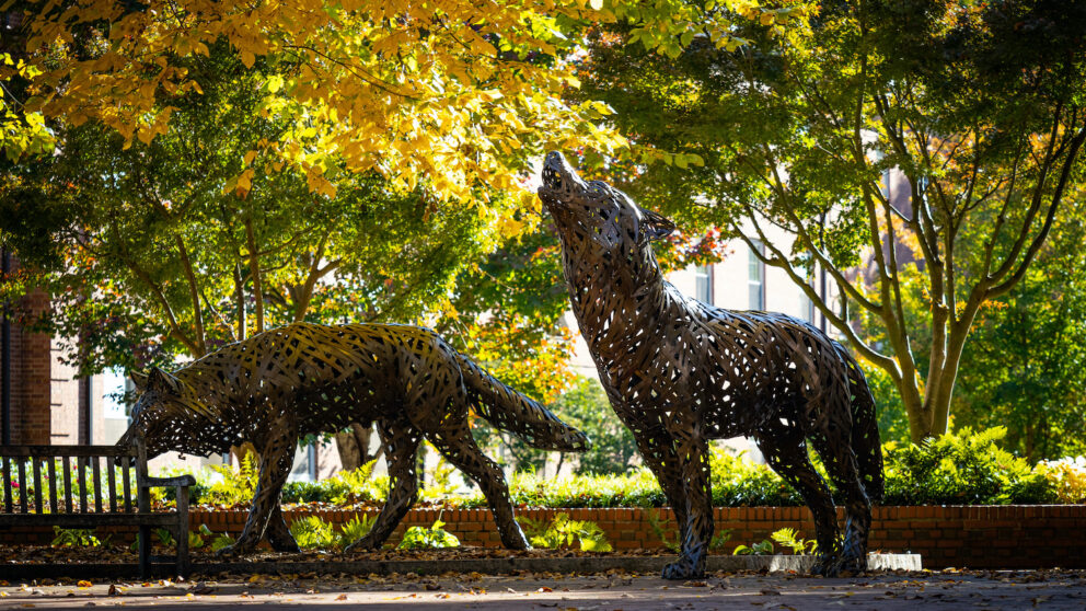Wolf Plaza during fall. Photo by Marc Hall.