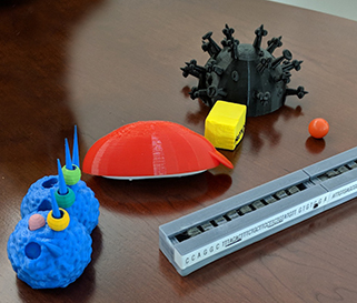 3D printed tactile teaching tools in the shape of biological molecules.