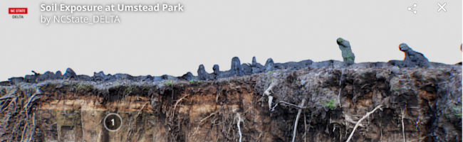 Soil exposure at Umstead Park