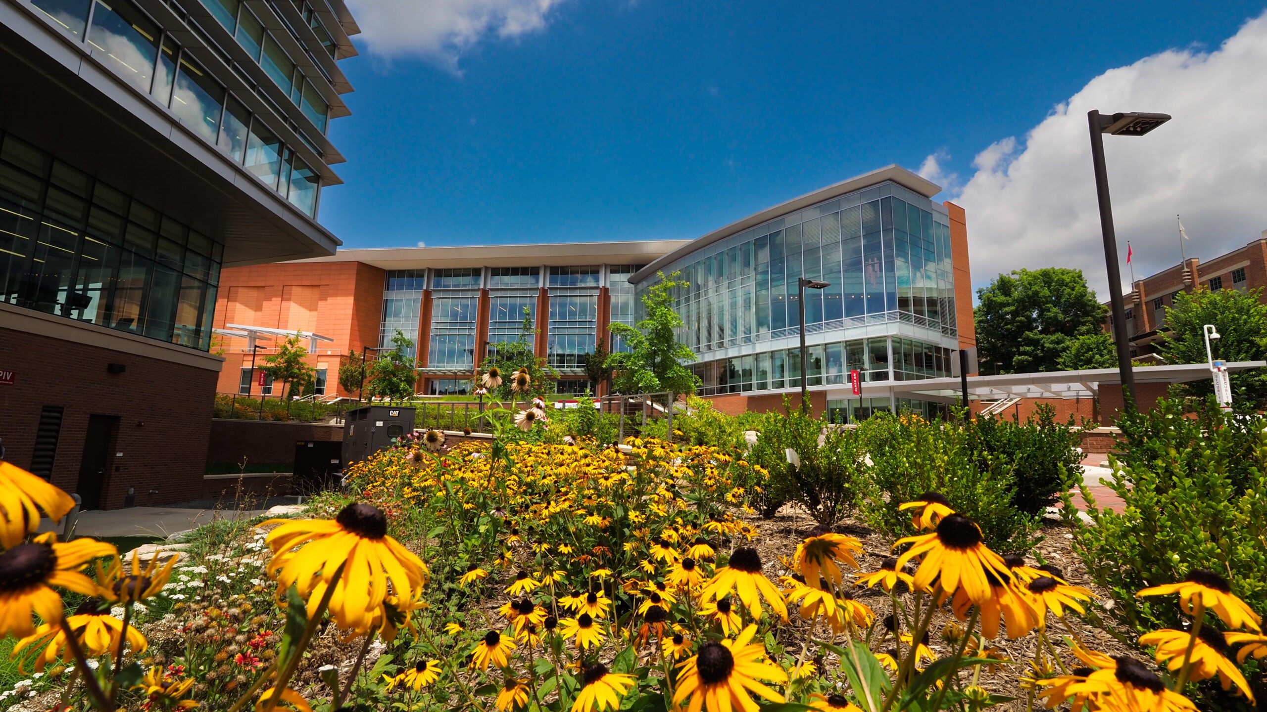 Students make their way by SAS Hall on main campus during fall. Photo by Marc Hall
